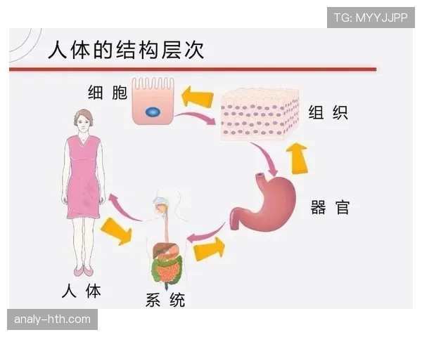 里克尔梅单点驱动与纳尼多点参与：组织推进模式的分化解析